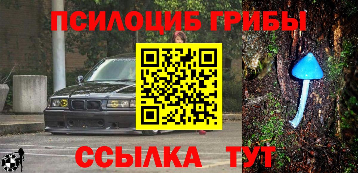 Псилоцибиновые грибы Magic Shrooms  Вход с VPN  Галлюциногенные грибы Psilocybine cubensis  Чехов 